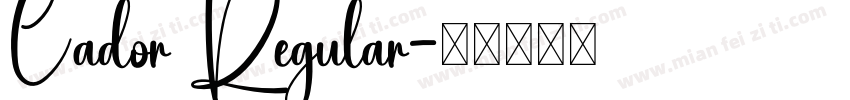 Cador Regular字体转换